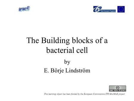 The Building blocks of a bacterial cell by E. Börje Lindström This learning object has been funded by the European Commissions FP6 BioMinE project.
