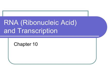 RNA (Ribonucleic Acid) and Transcription Chapter 10.