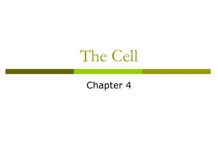 The Cell Chapter 4.