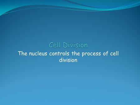 The nucleus controls the process of cell division.