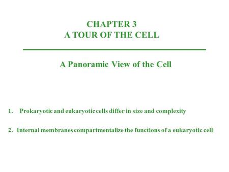 CHAPTER 3 A TOUR OF THE CELL A Panoramic View of the Cell