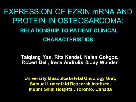 EXPRESSION OF EZRIN mRNA AND PROTEIN IN OSTEOSARCOMA: RELATIONSHIP TO PATIENT CLINICAL CHARACTERISTICS Taiqiang Yan, Rita Kandel, Nalan Gokgoz, Robert.