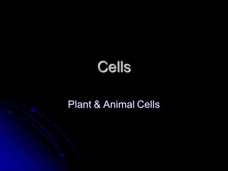 Cells Plant & Animal Cells. Cells How many cells do we have in us? How many cells do we have in us? Brain has estimated 1,000,000,000 neurons (one type.