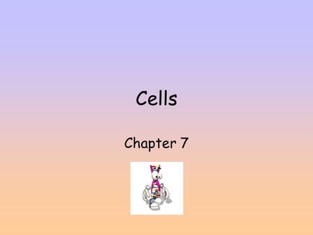 Cells Chapter 7. Cell consists of nucleus and cytoplasm. In cytoplasm - organelles (“little organs”)