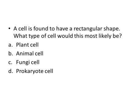 A cell is found to have a rectangular shape. What type of cell would this most likely be? a.Plant cell b.Animal cell c.Fungi cell d.Prokaryote cell.