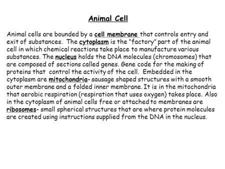 Animal Cell Animal cells are bounded by a cell membrane that controls entry and exit of substances. The cytoplasm is the “factory” part of the animal cell.