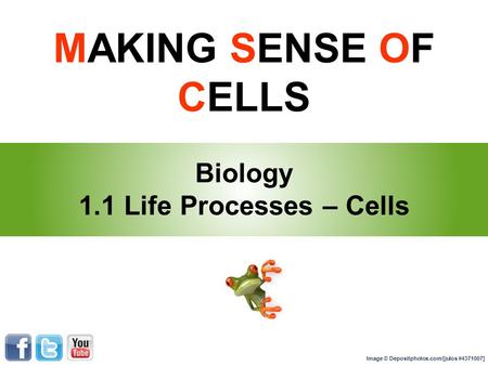 MAKING SENSE OF CELLS Biology 1.1 Life Processes – Cells Image © Depositphotos.com/[julos #4371007]