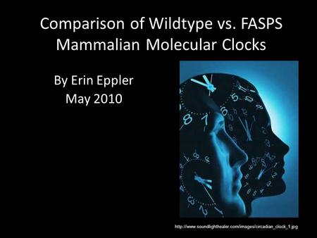 Comparison of Wildtype vs. FASPS Mammalian Molecular Clocks By Erin Eppler May 2010