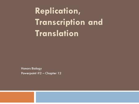 Replication, Transcription and Translation
