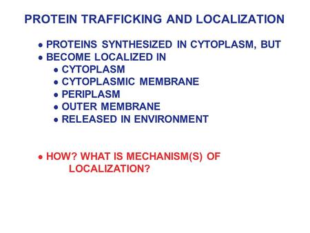 PROTEIN TRAFFICKING AND LOCALIZATION PROTEINS SYNTHESIZED IN CYTOPLASM, BUT BECOME LOCALIZED IN CYTOPLASM CYTOPLASMIC MEMBRANE PERIPLASM OUTER MEMBRANE.
