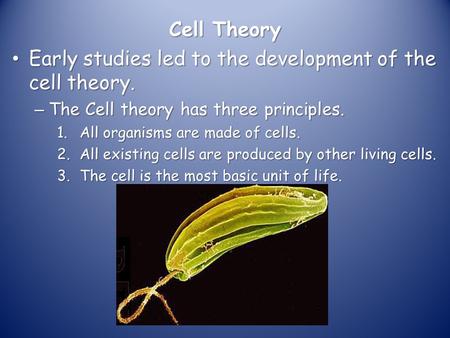 Early studies led to the development of the cell theory.