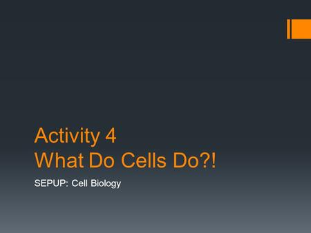 Activity 4 What Do Cells Do?!