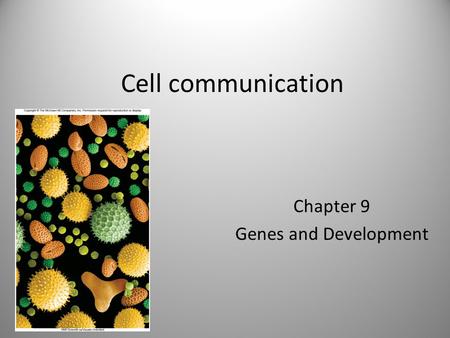 Cell communication Chapter 9 Genes and Development.