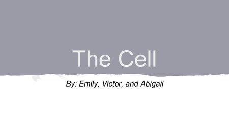 The Cell By: Emily, Victor, and Abigail. What am I? Bacteria ? Plant Cell? Animal Cell?