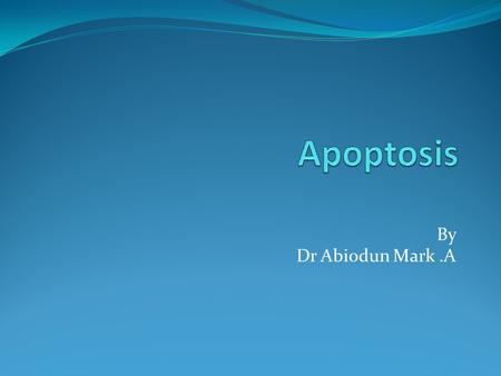 Apoptosis By Dr Abiodun Mark .A.