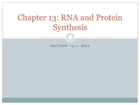 Chapter 13: RNA and Protein Synthesis
