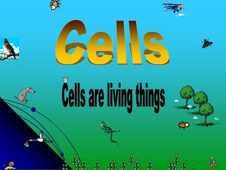 Cells are living things