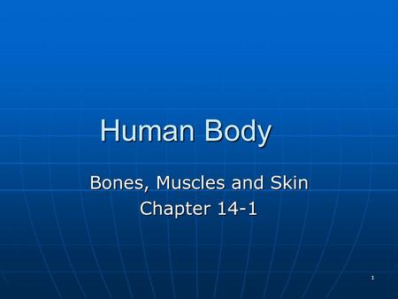 Bones, Muscles and Skin Chapter 14-1