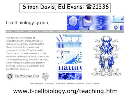 Www.t-cellbiology.org/teaching.htm Simon Davis, Ed Evans:  21336.