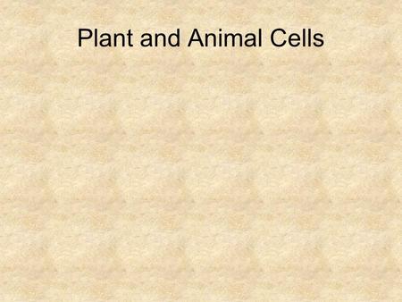 Plant and Animal Cells. Animal cell Epithelial Tissue Animal cells. The Simple Epithelial Tissue Types.