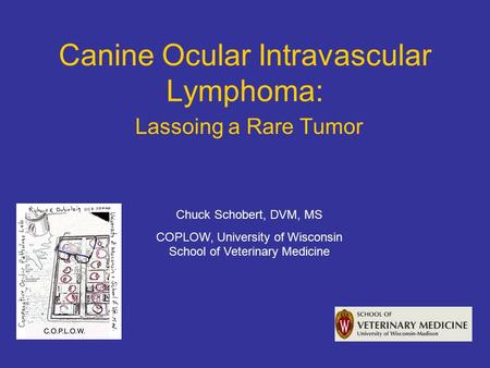Canine Ocular Intravascular Lymphoma: Lassoing a Rare Tumor Chuck Schobert, DVM, MS COPLOW, University of Wisconsin School of Veterinary Medicine.