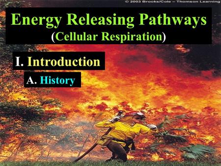 Energy Releasing Pathways (Cellular Respiration) I. Introduction A. History.