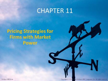 Pricing Strategies for Firms with Market Power