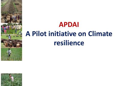 APDAI A Pilot initiative on Climate resilience. Objective Enhancing drought adaptation capacity of affected communities and reducing their vulnerability.