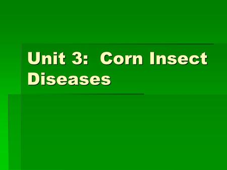 Unit 3: Corn Insect Diseases.  European Corn Borer & Southwestern Corn Borer  Can cause 3% yield loss/corn borer/plant  Sweet corn 8%  Bore  Stalks.