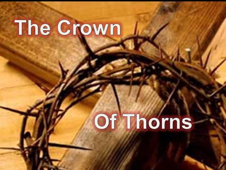 “When they had twisted a crown of thorns, they put it on His head, and a reed in His right hand. And they bowed the knee before Him and mocked Him, saying,