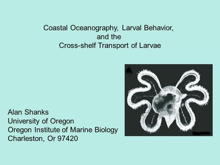 Alan Shanks University of Oregon Oregon Institute of Marine Biology Charleston, Or 97420 Coastal Oceanography, Larval Behavior, and the Cross-shelf Transport.