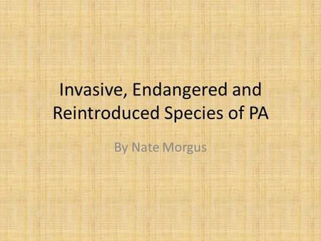 Invasive, Endangered and Reintroduced Species of PA By Nate Morgus.