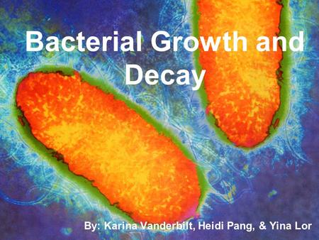 Bacterial Growth and Decay By: Karina Vanderbilt, Heidi Pang, & Yina Lor.