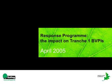April 2005 Response Programme: the impact on Tranche 1 BVPIs.