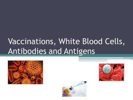Vaccinations, White Blood Cells, Antibodies and Antigens.