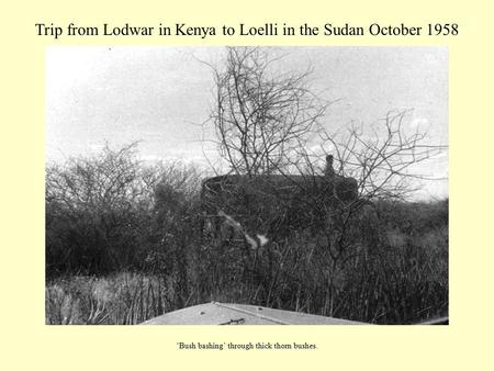 Trip from Lodwar in Kenya to Loelli in the Sudan October 1958 ‘Bush bashing’ through thick thorn bushes.