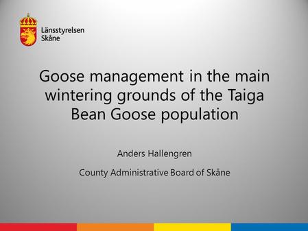 Goose management in the main wintering grounds of the Taiga Bean Goose population Anders Hallengren County Administrative Board of Skåne.