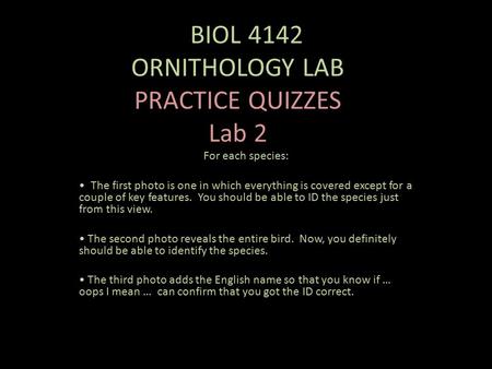 OBIOL 4142 ORNITHOLOGY LAB PRACTICE QUIZZES Lab 2 For each species: The first photo is one in which everything is covered except for a couple of key features.