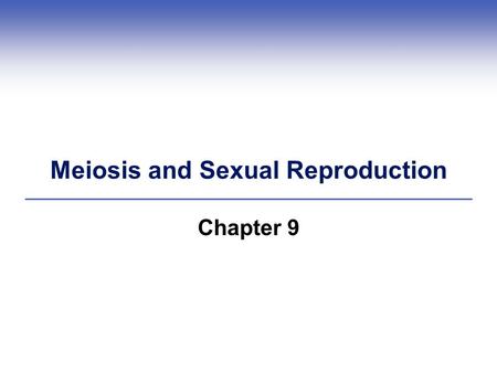 Meiosis and Sexual Reproduction