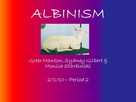 ALBINISM Greer Manton, Sydney Gilbert & Monica Starbinski 2/1/10 – Period 2.