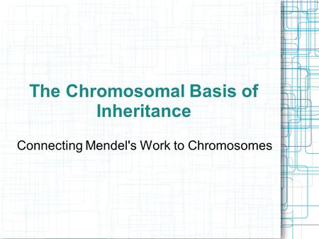 The Chromosomal Basis of Inheritance Connecting Mendel's Work to Chromosomes.