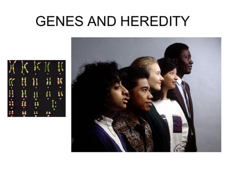GENES AND HEREDITY.