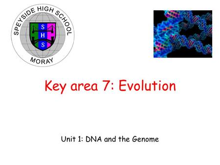 Key area 7: Evolution.