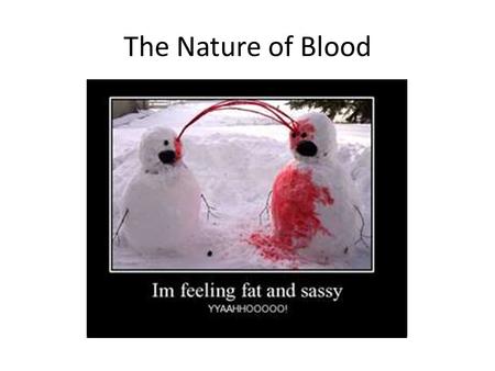 The Nature of Blood. Serology Serology is the examination and analysis of body fluids. A forensic serologist may analyze a variety of body fluids including.