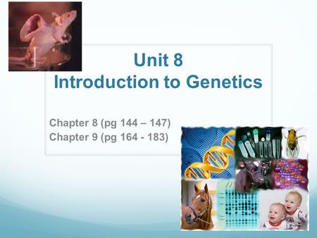 Unit 8 Introduction to Genetics