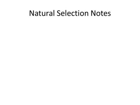 Natural Selection Notes