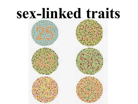 Sex-linked traits. Sex chromosomes carry genes that code for traits other than gender. Traits determined by genes on the X chromosome are called sex-linked.