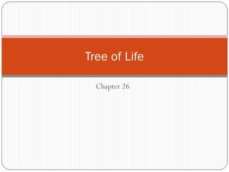 Tree of Life Chapter 26.