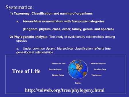 1) Taxonomy: Classification and naming of organisms a.Hierarchical nomenclature with taxonomic categories (kingdom, phylum, class, order, family, genus,