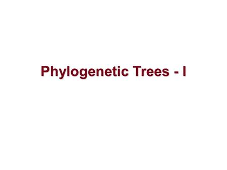 Phylogenetic Trees - I.